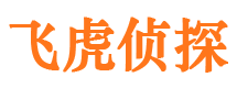 杂多市婚姻调查